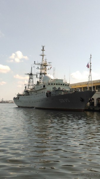 Куба я тебя люблю.