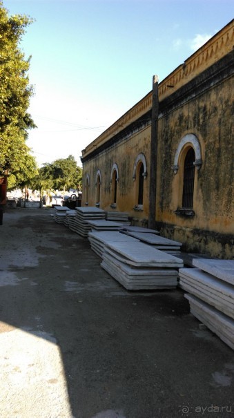 Куба я тебя люблю.