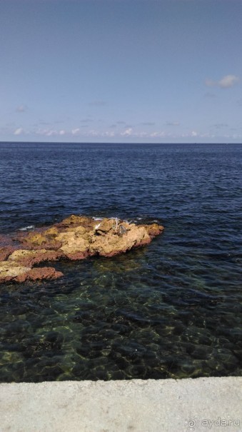 Куба я тебя люблю.