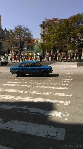 Куба я тебя люблю.