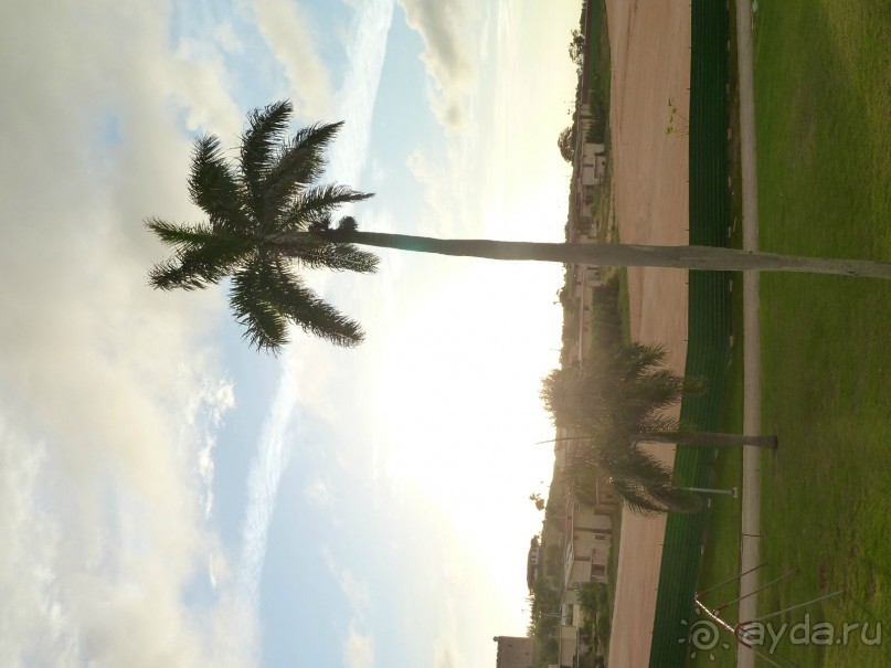 Куба я тебя люблю.