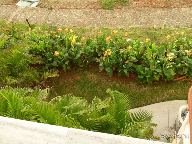 Куба я тебя люблю.