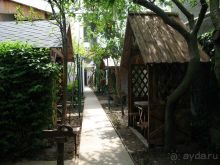 Альбом отзыва "Отдых в Крыму 2015 у самого моря на ЮБК в Солнечногорском"