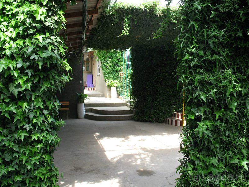 Альбом отзыва "Отдых в Крыму 2015 у самого моря на ЮБК в Солнечногорском"