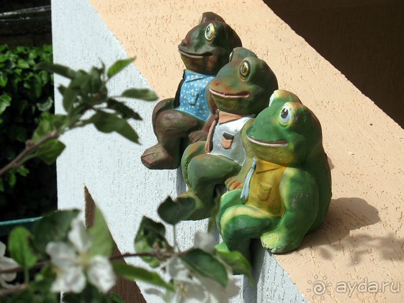 Альбом отзыва "Отдых в Крыму 2015 у самого моря на ЮБК в Солнечногорском"