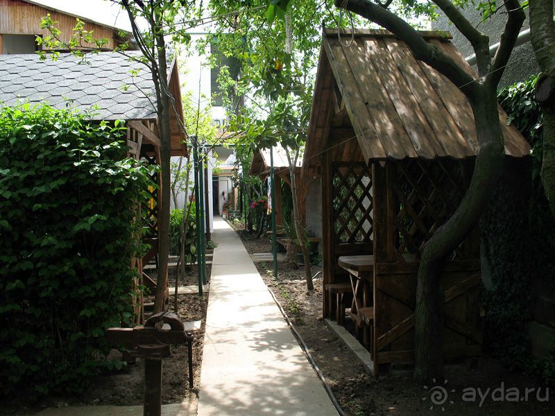 Альбом отзыва "Отдых в Крыму 2015 у самого моря на ЮБК в Солнечногорском"