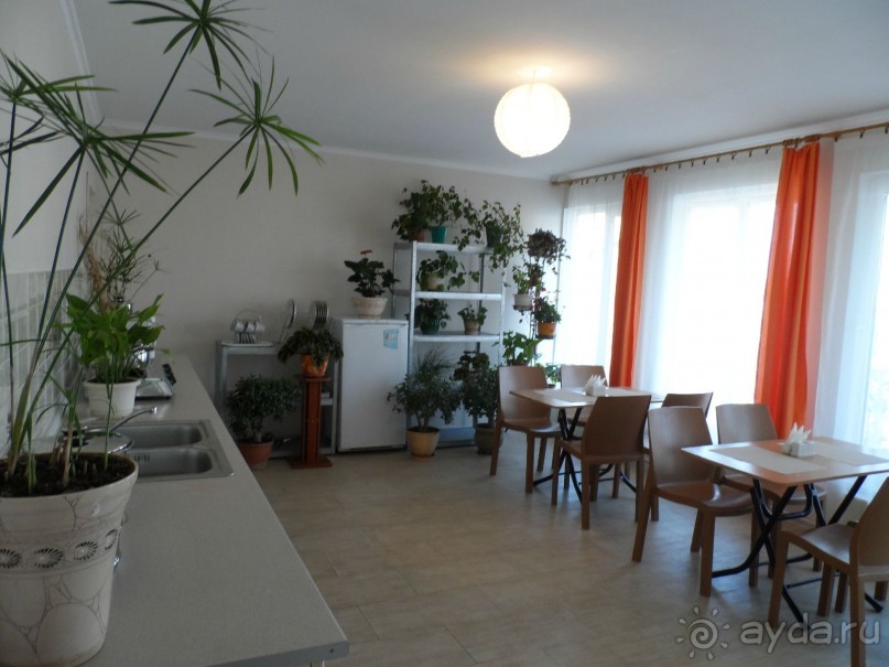 Альбом отзыва "Отдых в Крыму 2015 у самого моря на ЮБК в Солнечногорском"