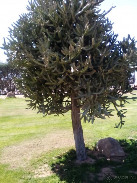 апрельский визит на юг