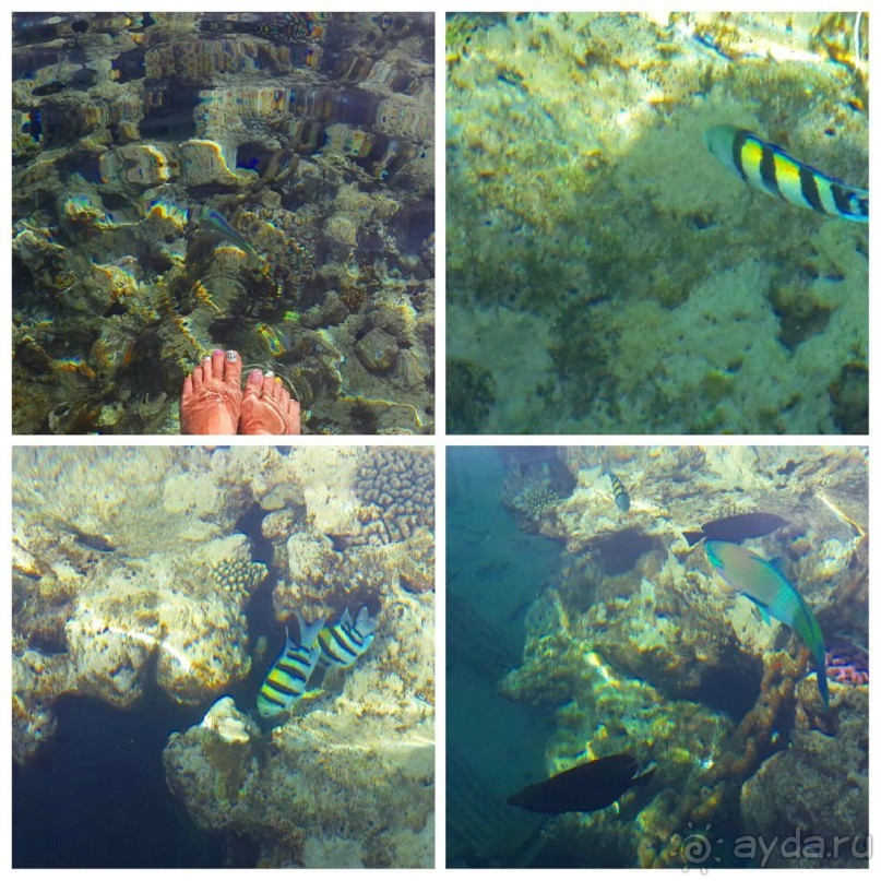 Отличный отдых!!!