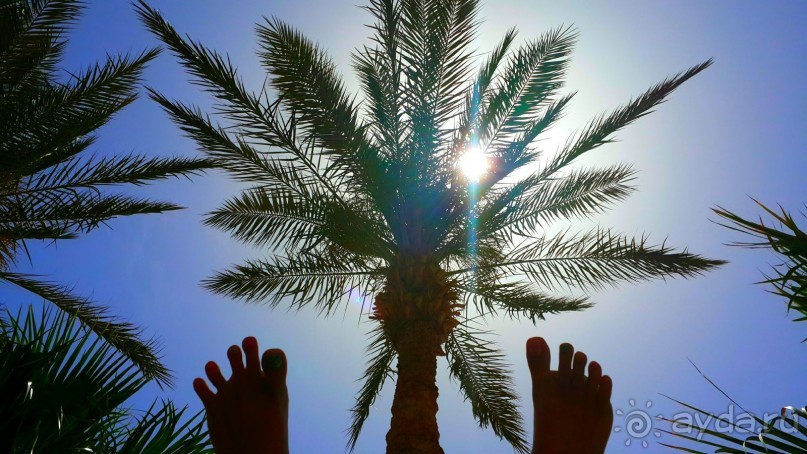 Отличный отдых!!!