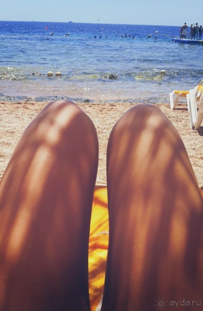 Отличный отдых!!!