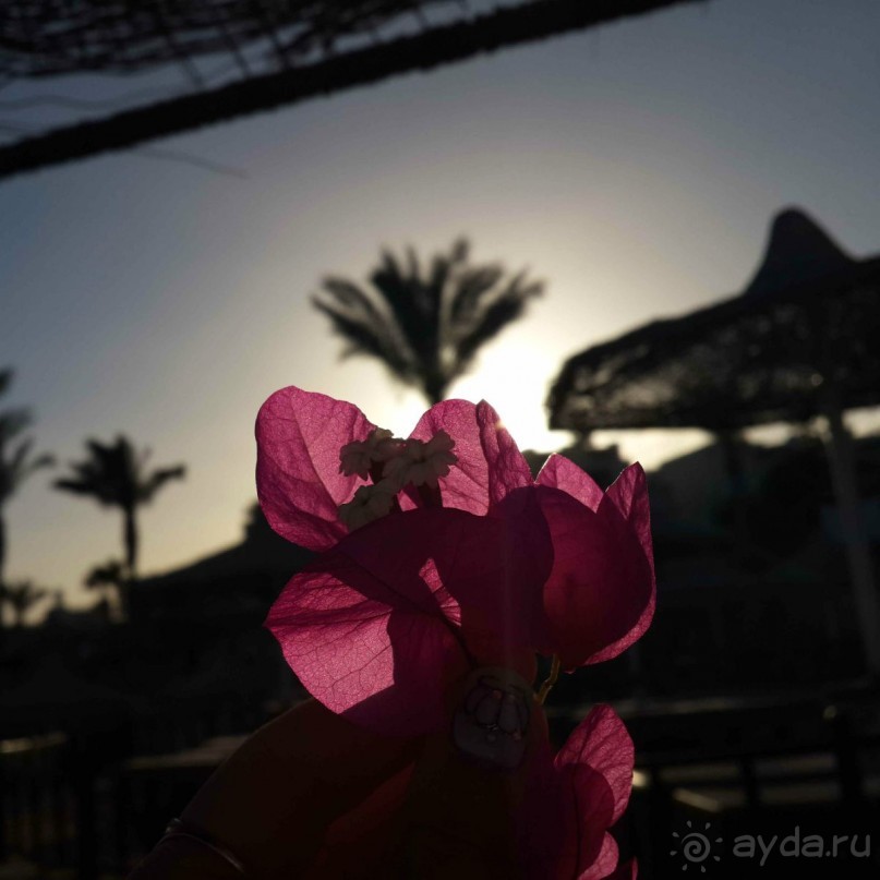 Отличный отдых!!!