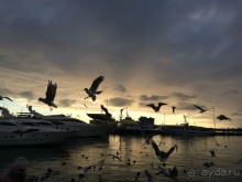 Понравилось