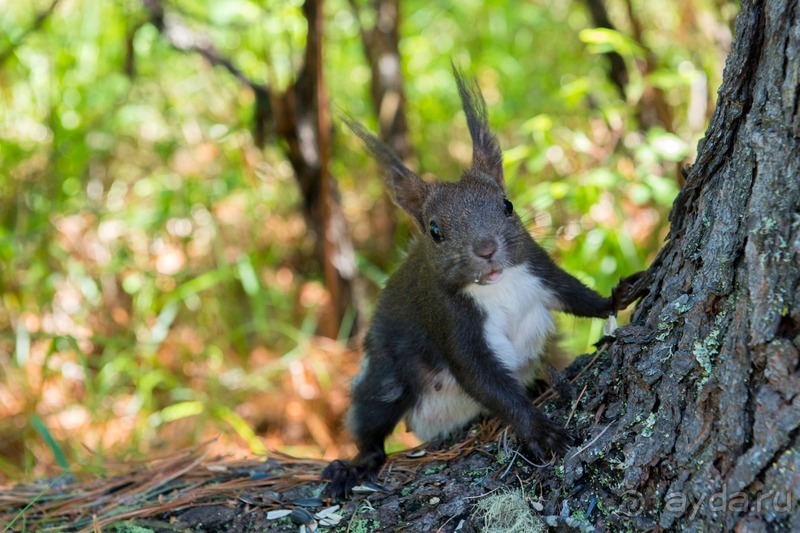 фото Бурятии
