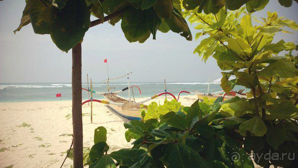 И вот мы на Бали))