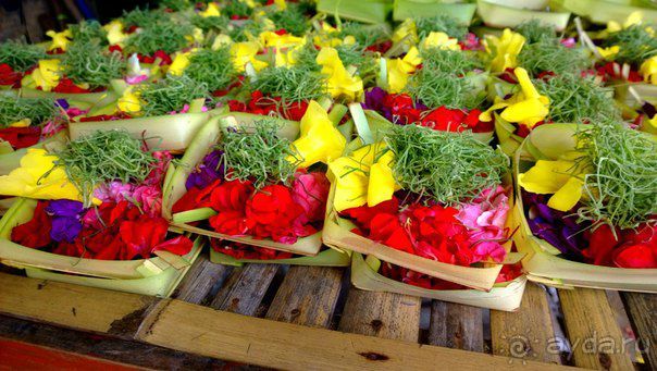 И вот мы на Бали))