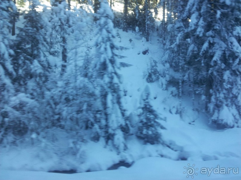 отдых на яхорине отель вучко 4+