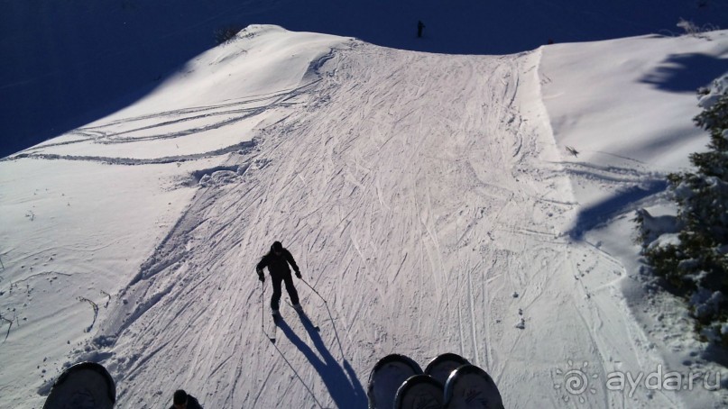 отдых на яхорине отель вучко 4+