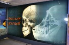 Пещеры Стеркфонтейн – «Колыбель человечества». В гости в пещеру к австралопитеку, ЮАР.