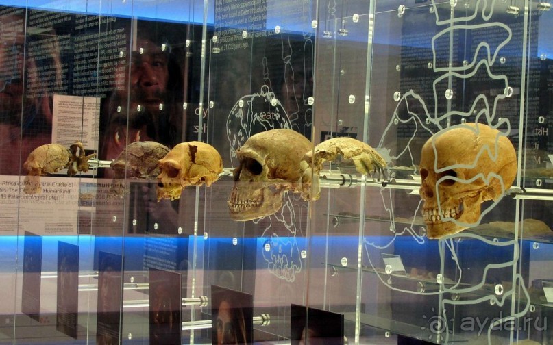 Пещеры Стеркфонтейн – «Колыбель человечества». В гости в пещеру к австралопитеку, ЮАР.