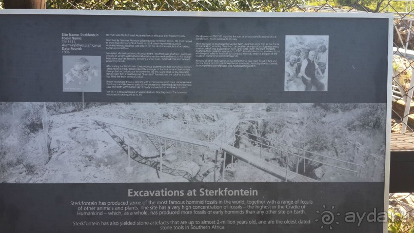 Пещеры Стеркфонтейн – «Колыбель человечества». В гости в пещеру к австралопитеку, ЮАР.