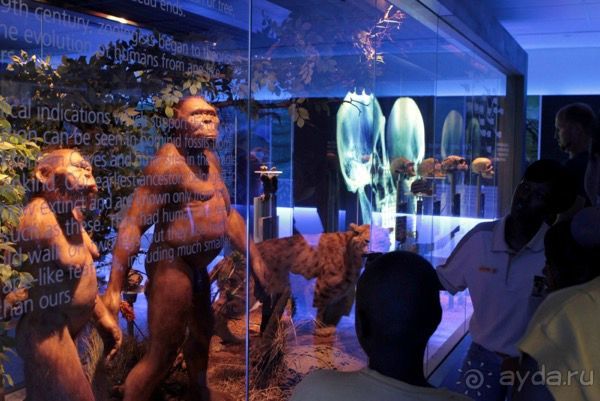 Пещеры Стеркфонтейн – «Колыбель человечества». В гости в пещеру к австралопитеку, ЮАР.