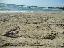 4 звезды с натягом