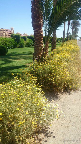 Достойный отель