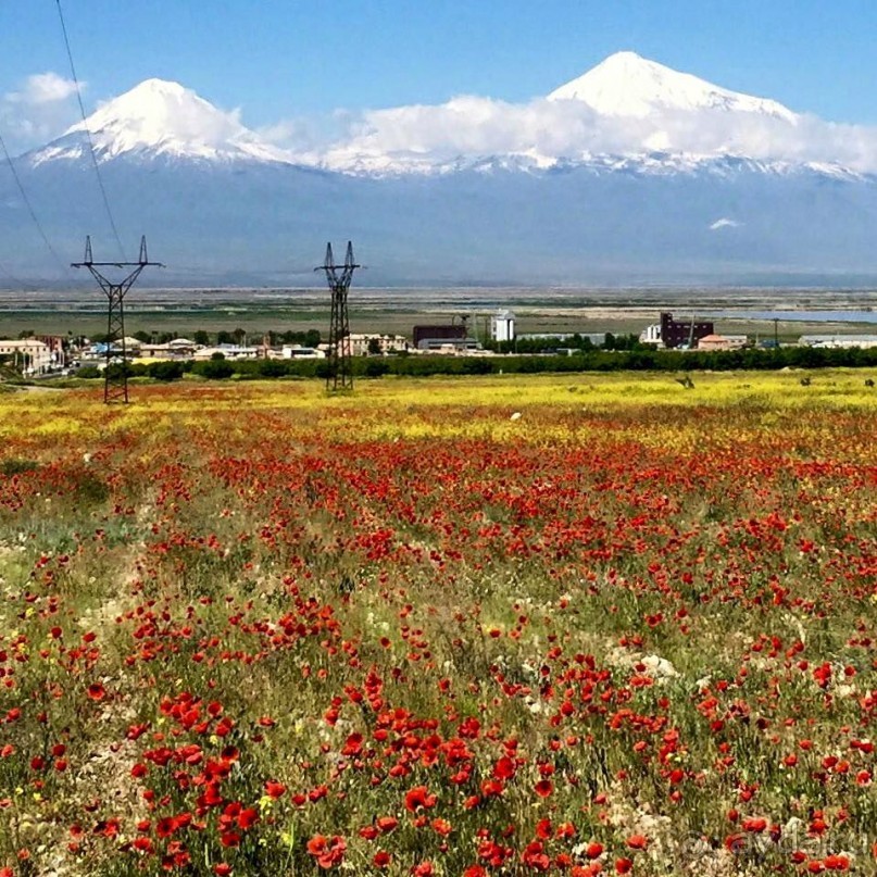 Благодарим Генриха Тер-Маркосяна за незабываемые дни проведенные в Армении. До новых встреч :)))