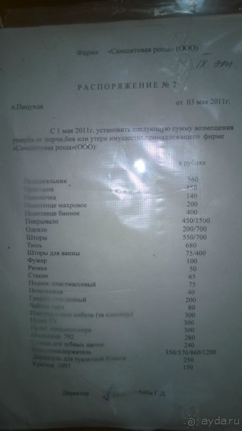 фото Самшитовая роща