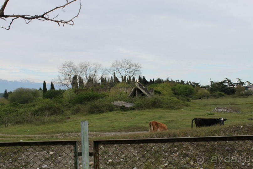 ЗРЯ ПОТРАЧЕННОЕ ВРЕМЯ,ДЕНЬГИ И НЕРВЫ!!!!