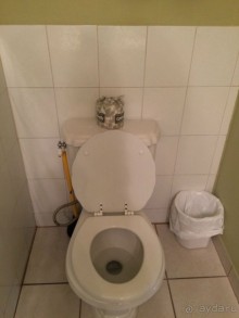 "Окунуться" в страну кокосов на 3 дня и не забудьте взять с собой что-нибудь вкусное из дома, пригод