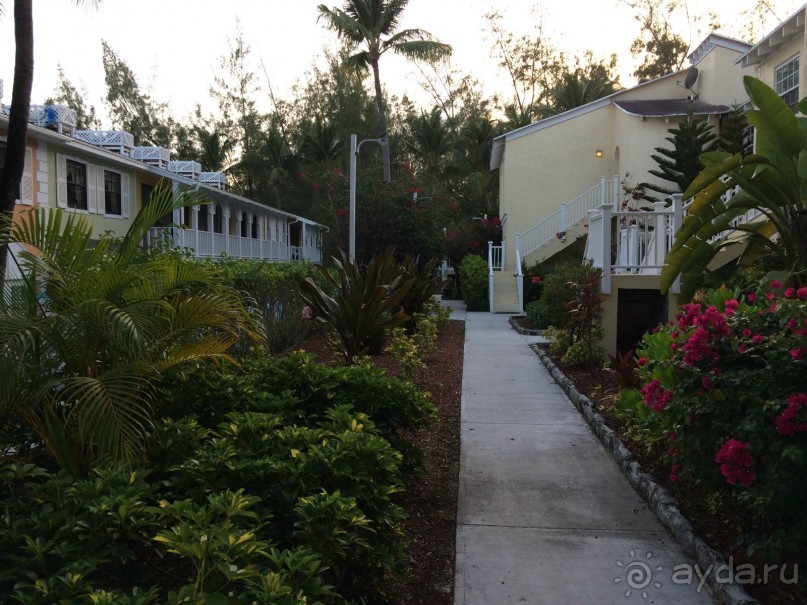 "Окунуться" в страну кокосов на 3 дня и не забудьте взять с собой что-нибудь вкусное из дома, пригод