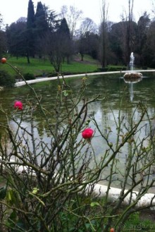 Особенное место