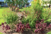 фото Iberostar Selection Varadero