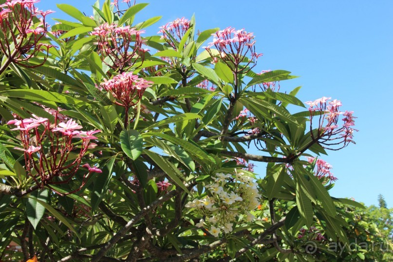 Если есть Рай на земле, то он тут...