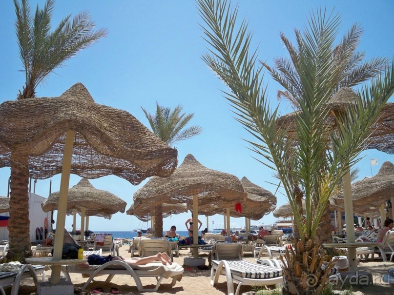 фото Cataract Layalina Resort