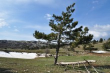 Ялта - Южный берег - Севастополь - Чуфут-Кале и Бахчисарай