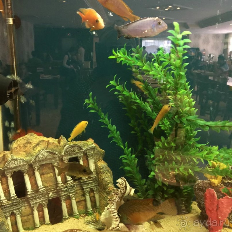 фото Golden Age Hotel 