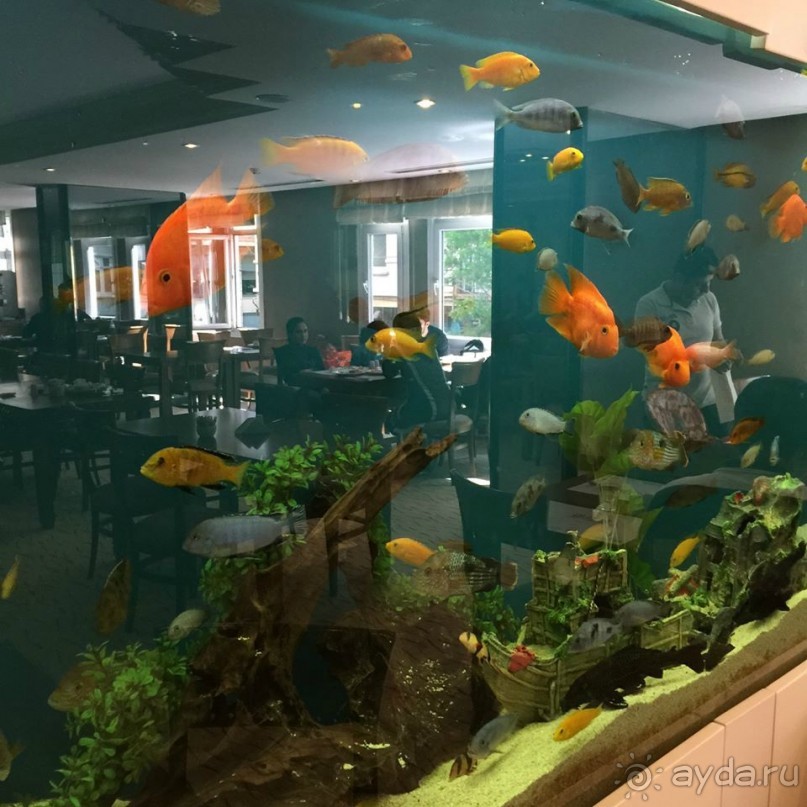 фото Golden Age Hotel 