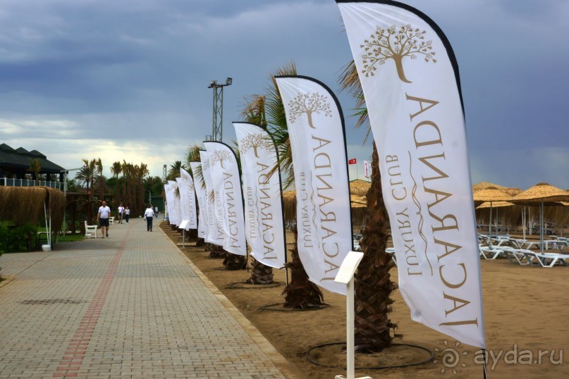 Хорошо... но больше сюда не поедем