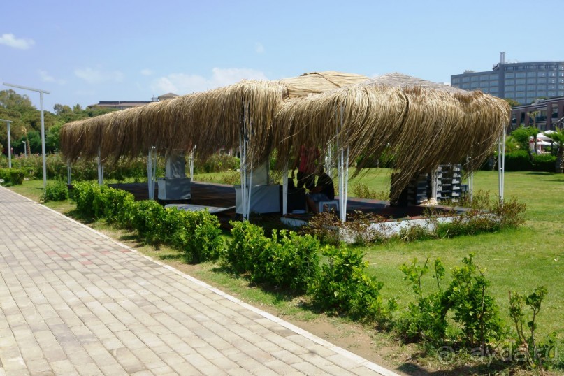 Хорошо... но больше сюда не поедем