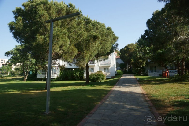 Хорошо... но больше сюда не поедем