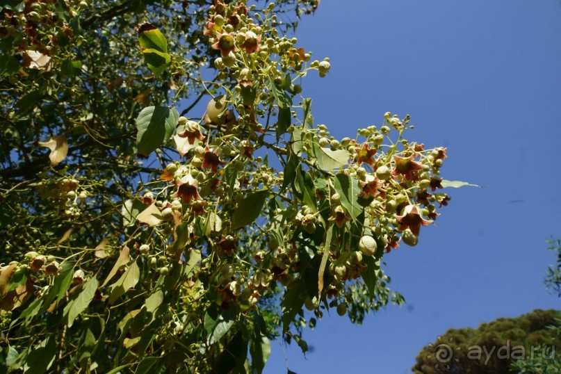Хорошо... но больше сюда не поедем