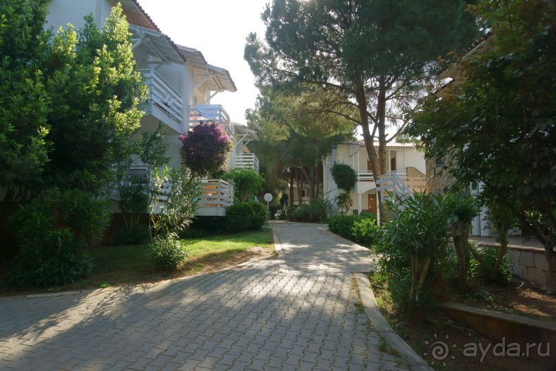 Хорошо... но больше сюда не поедем