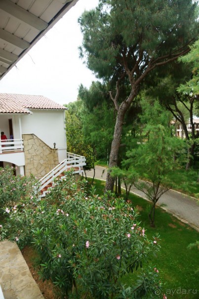 Хорошо... но больше сюда не поедем