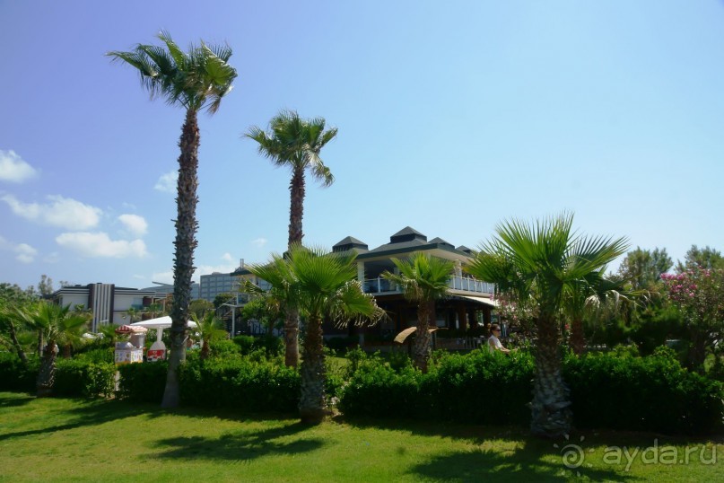 Хорошо... но больше сюда не поедем