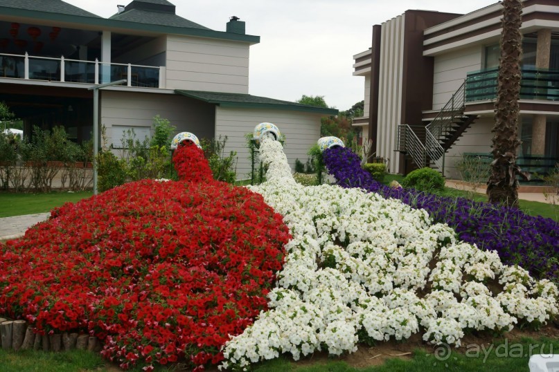 Хорошо... но больше сюда не поедем