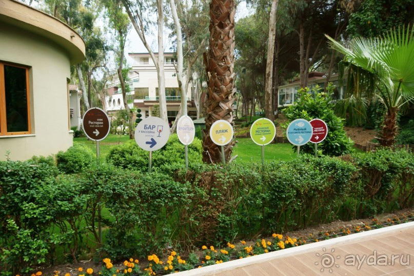 Хорошо... но больше сюда не поедем