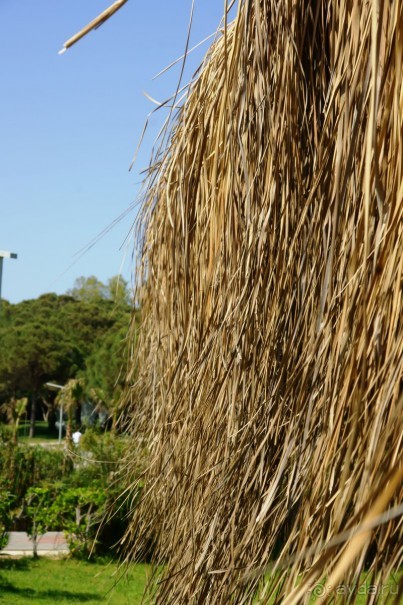 Хорошо... но больше сюда не поедем